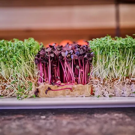 فندق Am نويتراوبلينغ